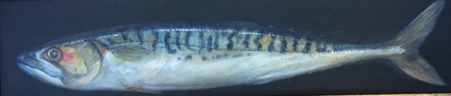 Painting of mackerel