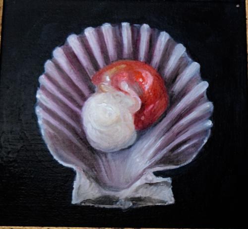 Queen Scallop