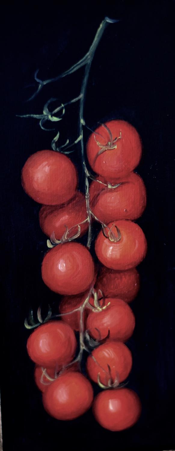 Tress of tomatoes