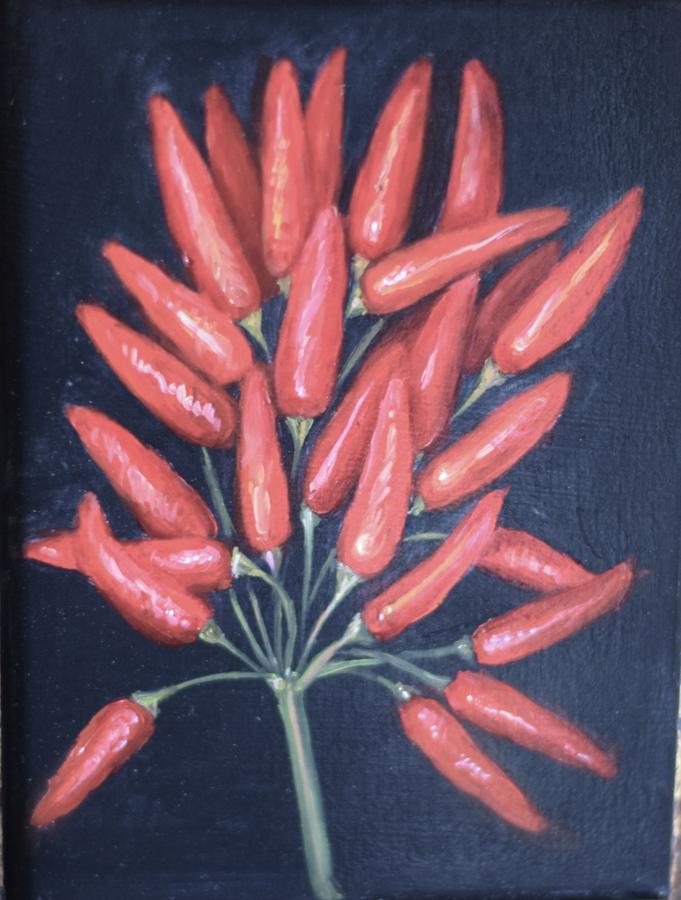 Sprig of chillies