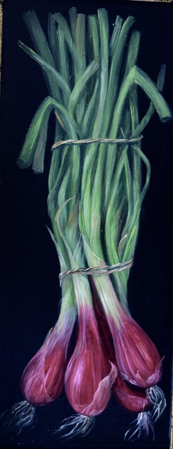 Red spring onions