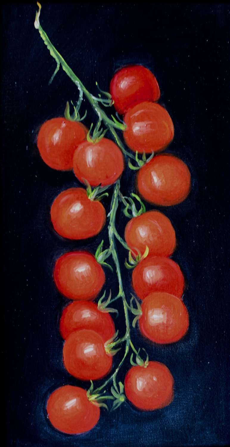 Tress of tomatoes