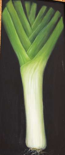 Leek