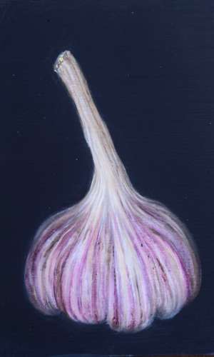 Large new French garlic