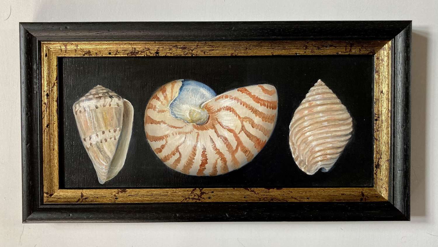 3 shells