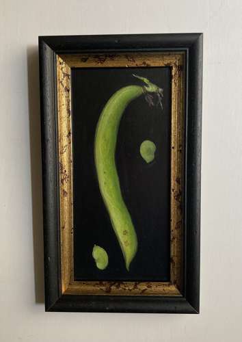 Broad bean
