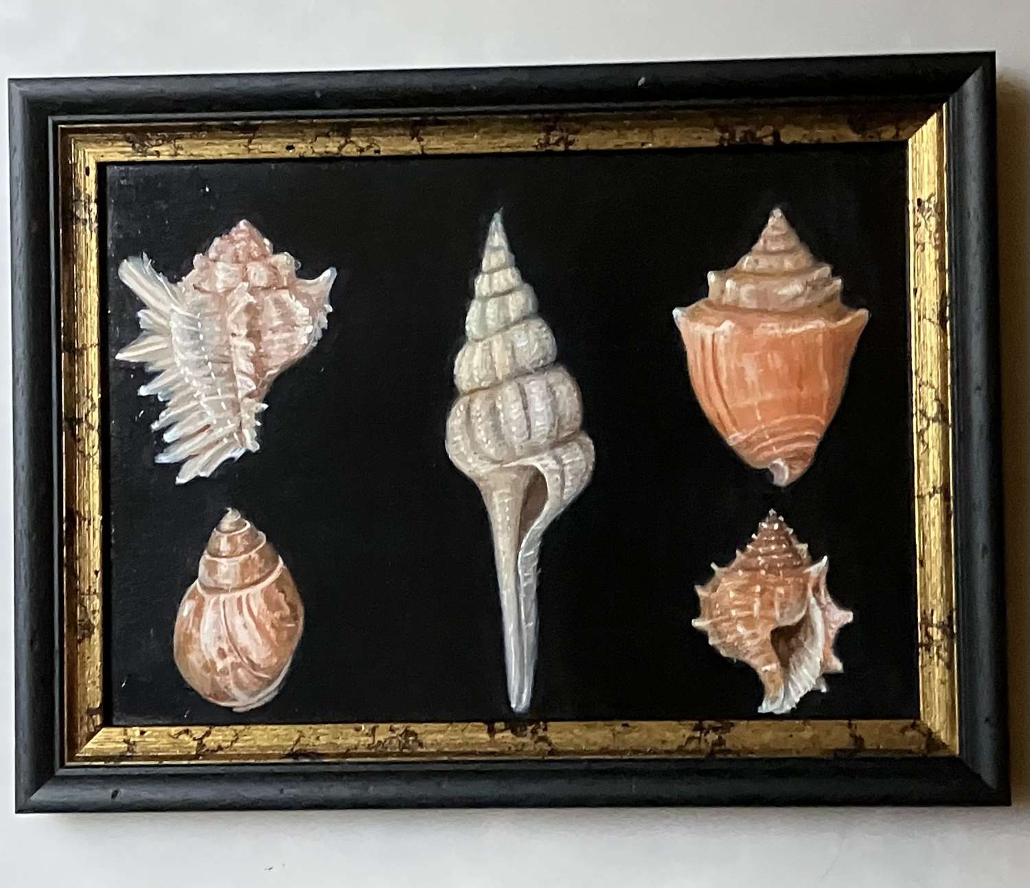 6 shells