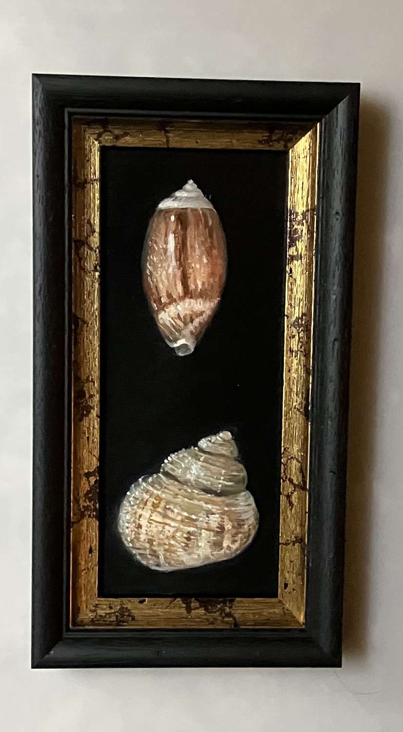 2 shells