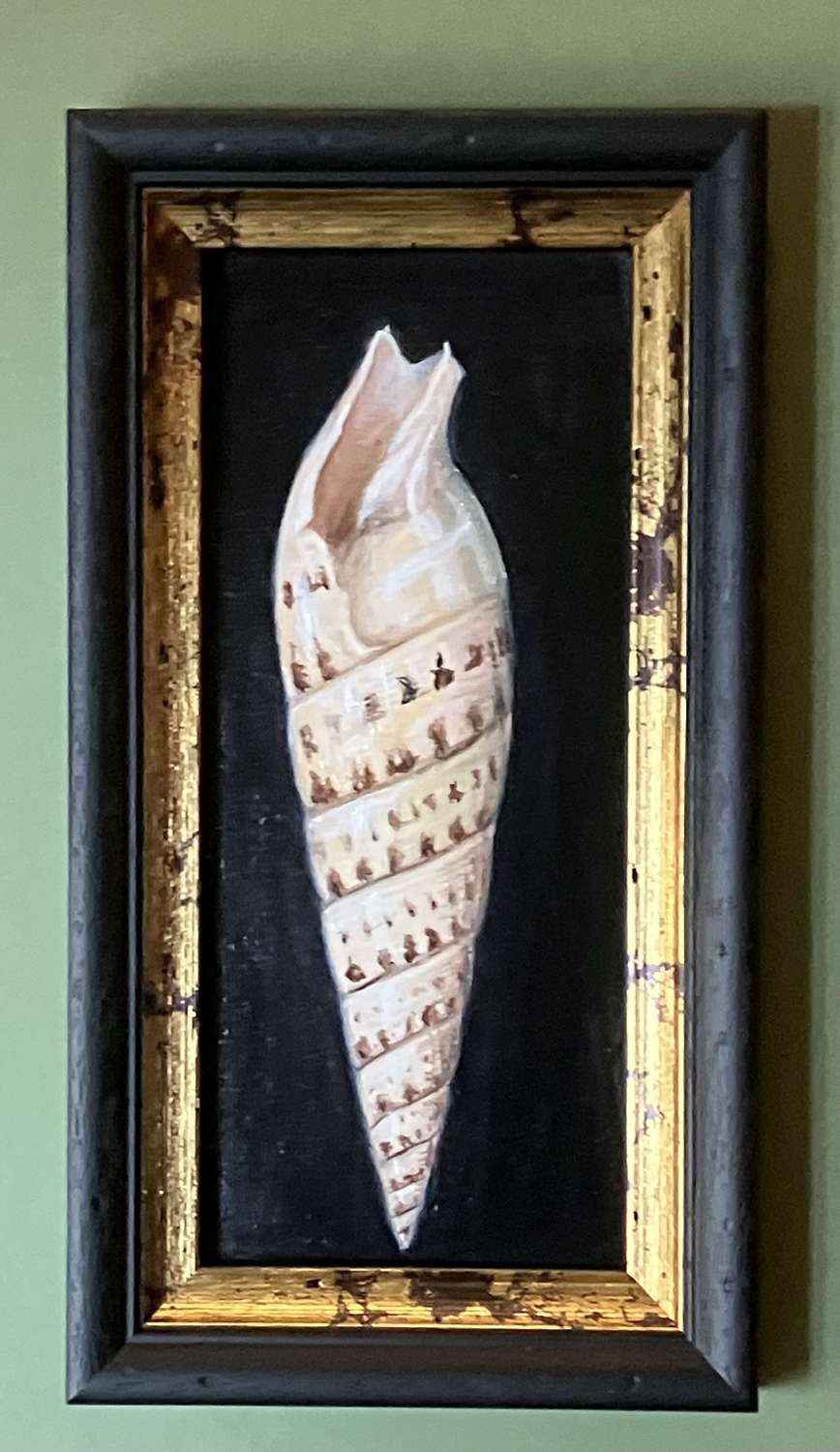 Long shell