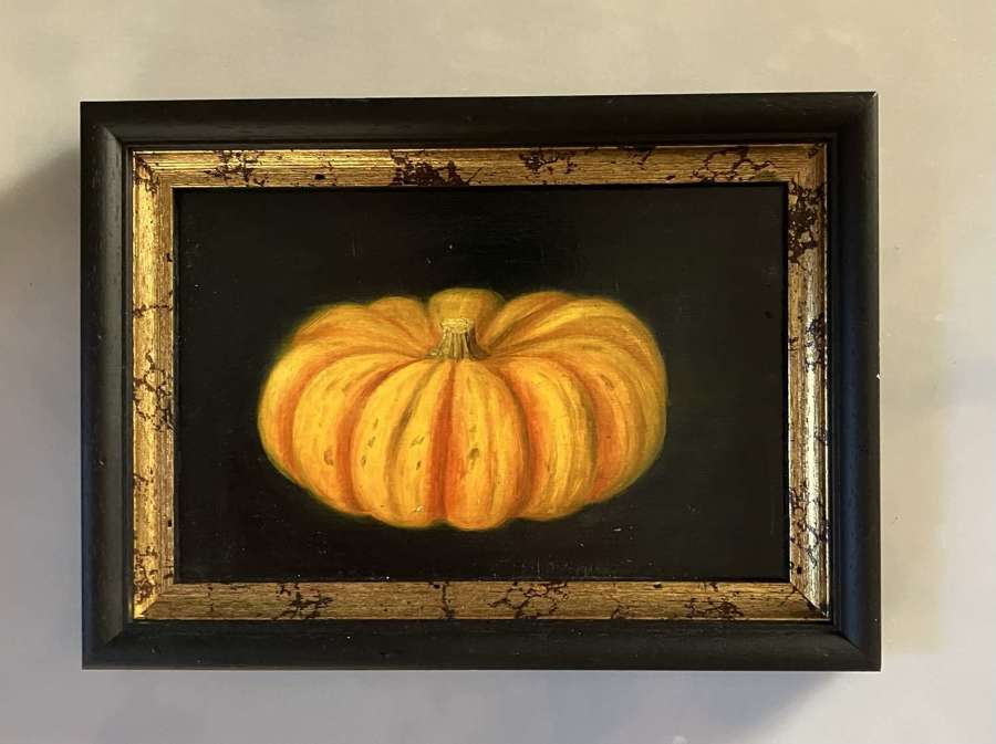 Small munchkin pumpkin