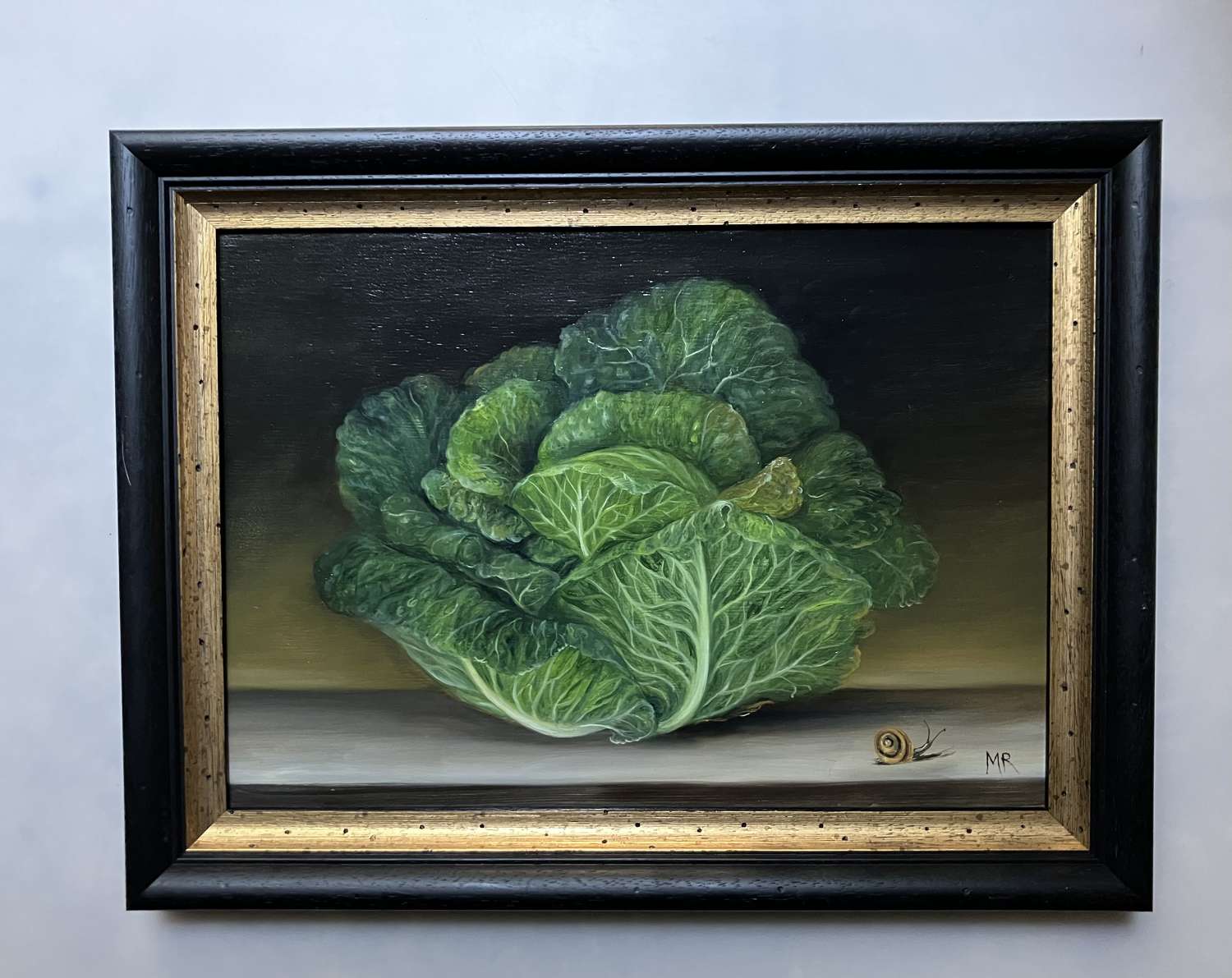 Cabbage and snail