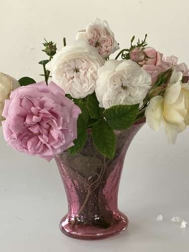 John Walsh Walsh pink bubble vase on bulbous base