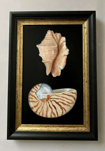 2 Shells I