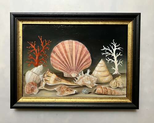 Shellscape 1