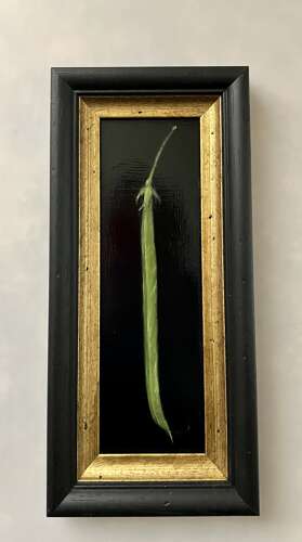 French bean