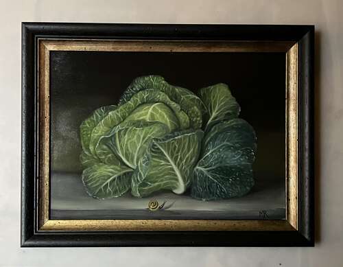 Cabbage