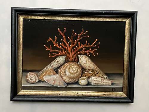 Shellscape 1